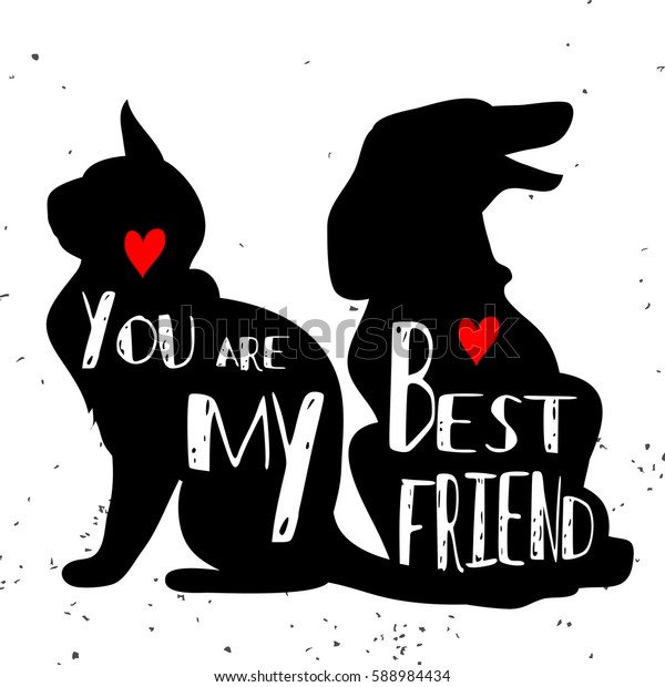 my best friend pet shop