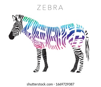 Typography of animal series ZEBRA, Vector art, illustration