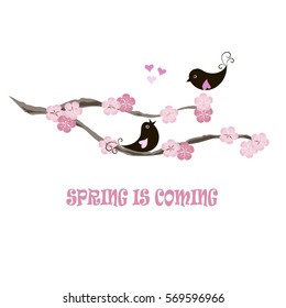 Typography banner Spring is coming, black birds on blooming branch, pink flowers, hearts on white, stock vector illustration