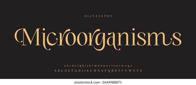 Tipografia beleza moda elegante minimalista serif italic fontes decorativo casamento vintage retro logos. Logotipo de fonte de luxo mínimo alfabeto. Ilustração vetorial
