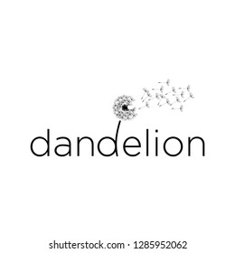 typography: dandelion  word and illustration