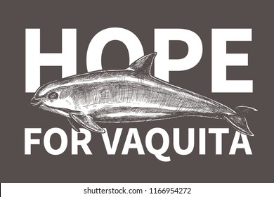 Typography design for International day save the vaquita. Poster with hand drawn sketch Gulf of California harbor porpoise and text hope for vaquita. Protection of wildlife and endangered species