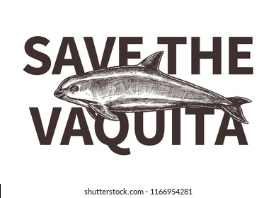 Typography design for International day save the vaquita. Poster with hand drawn sketch Gulf of California harbor porpoise. Protection of wildlife and endangered species