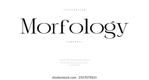  Typography Elegance Sleek Modern Classic Serif Alphabet Font