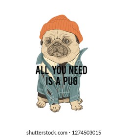 Typography graphic print pug in hat.  All you is a pug need quote