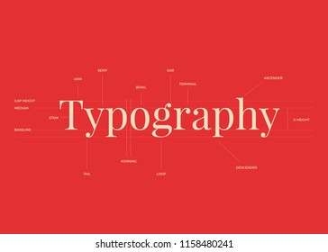 Typography Guidelines Poster