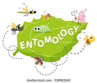 Typography Illustration Featuring the Word Entomology Written on a Leaf Surrounded by Insects