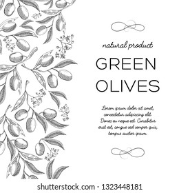 Typography informative design decorative card doodle ornated by vertical blossom with inscription in the front about green olives hand drawing vector illustration