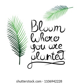 Typography motivational quote - Bloom where you are planted. Hand drawn lettering.