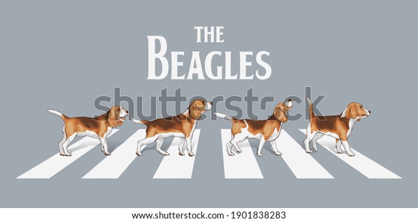 typography slogan with beagle dogs walk on\
the street  ,vector illustration for\
t-shirt.