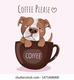 eslogan tipográfico y Perro Pitbull francés dibujado a mano con café para imprimir, t pantalones.vectorial ilustración 