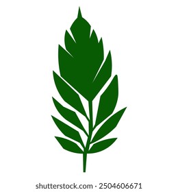 Typography vector illustration in green color
