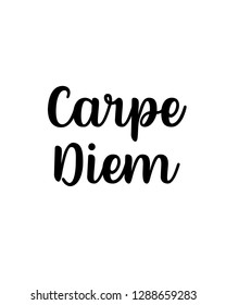 Typography word art quote text design vector graphic for carpe diem