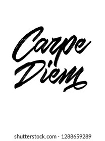 Typography word art quote text design vector graphic for carpe diem
