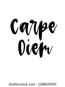 Typography word art quote text design vector graphic for carpe diem