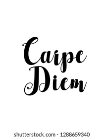 Typography word art quote text design vector graphic for carpe diem