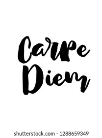 Typography word art quote text design vector graphic for carpe diem