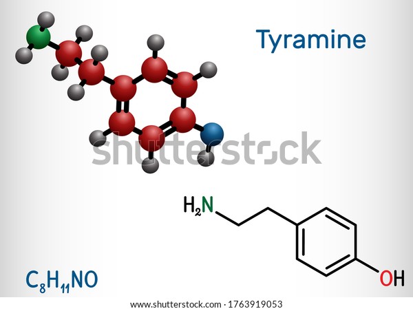 Tyramine, tyramin molecule. It is monoamine\
compound derived from tyrosine. Structural chemical formula and\
molecule model. Vector\
illustration