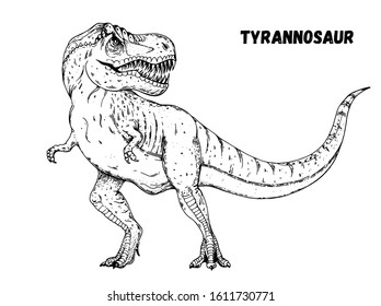 Tyrannosaur dinosaur hand drawn sketch. Vector illustration. Carnivorous dinosaur