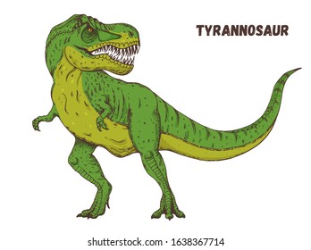 Tyrannosaur dinosaur hand drawn. Vector illustration. Carnivorous dinosaur