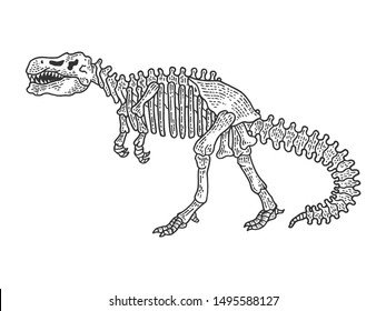 Tyrannosaur dinosaur skeleton bone sketch engraving vector illustration. Tee shirt apparel print design. Scratch board style imitation. Hand drawn image.