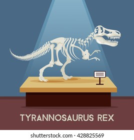 Tyrannosaur Rex bones skeleton in museum exhibition. Vector flat cartoon illustration