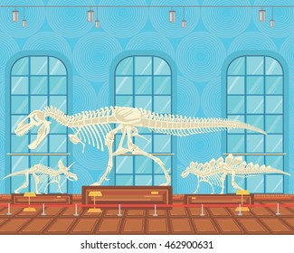 Tyrannosaur Rex bones skeleton in museum exhibition. vector illustration