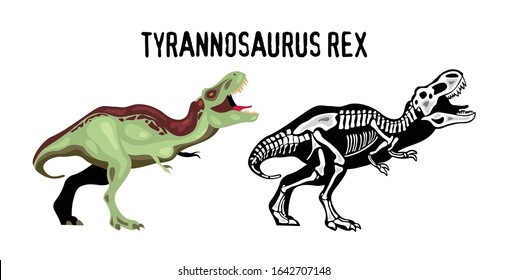 Tyrannosaur rex educational poster for study of appearance and structure of of extinct predator cartoon vector illustration