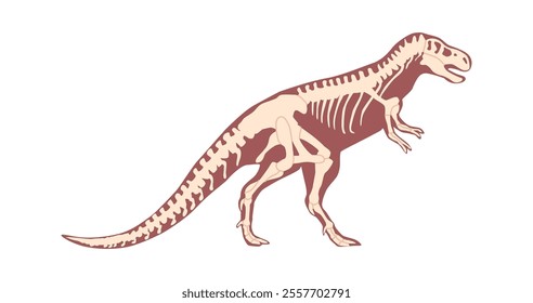 Tyrannosaurus dino skeleton vector illustration