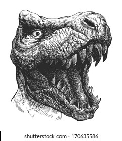 Tyrannosaurus Dinosaur . Hand drawn. Vector eps 8