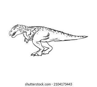 Tyrannosaurus Dinosaur T-Rex hand drawing. Vector illustration