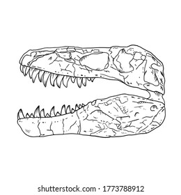 Tyrannosaurus fossilized skull hand drawn sketch image. Carnivorous reptile dinosaur fossil illustration drawing. Vector stock silhouette