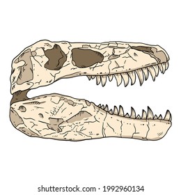 Tyrannosaurus fossilized skull hand drawn sketch image. Carnivorous reptile dinosaur fossil illustration drawing. Vector stock silhouette