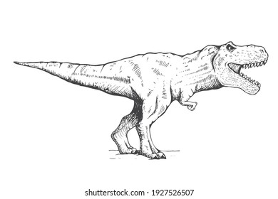 Prehistoric Animals Pencil Sketch Images Stock Photos Vectors Shutterstock