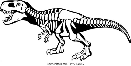 Tyrannosaurus rex bones, dinosaur skeleton monochrome illustration. Dangerous predator black and white drawing. Prehistoric wildlife, paleontology logotype. Jurassic period exhibition, museum piece