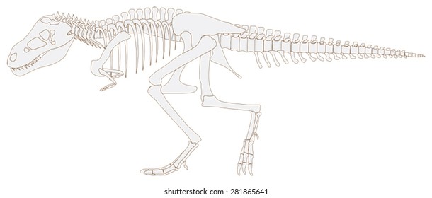 Tyrannosaurus rex dinosaur fossil graphic design in isolated background, create by vector