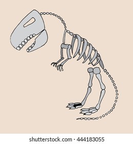 Tyrannosaurus rex. Dinosaur skeleton bones. Hand drawn vector stock illustration.