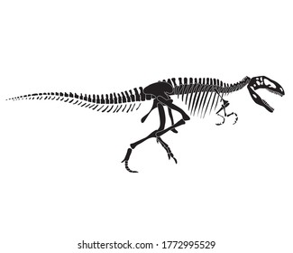 Tyrannosaurus Rex dinosaur skeleton silhouette in isolate on white background. Vector illustration.