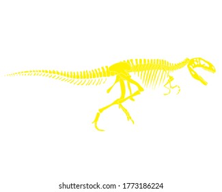 Tyrannosaurus Rex dinosaur skeleton silhouette in isolate on white background. Vector illustration.