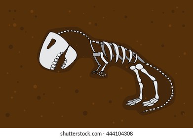 Tyrannosaurus rex fossil. Dinosaur skeleton bones. Hand drawn vector stock illustration.