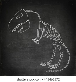 Tyrannosaurus rex fossil. Dinosaurus skeleton bones. Hand drawn vector stock illustration. Chalk board drawing.