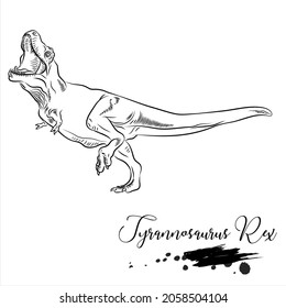 Tyrannosaurus Rex, realistic sketch dinosaur, vector illustration
