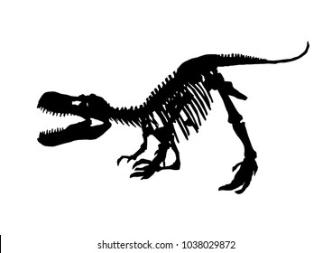 tyrannosaurus rex skeleton fossil, isolated dinosaur vector illustration on white background