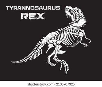 Tyrannosaurus rex skeleton hand drawn vector illustration on black background 