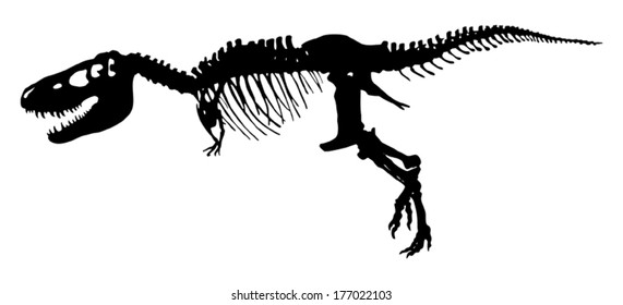 Tyrannosaurus Rex skeleton reconstruction illustration in action pose