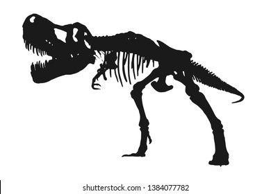 Tyrannosaurus Rex skeleton silhouette on isolated white background . Vector .