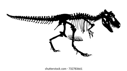 Tyrannosaurus Rex Skeleton . Silhouette Vector . Side View .