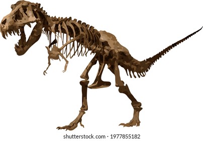 Tyrannosaurus Rex, skeleton, vector, isolated on white background.
