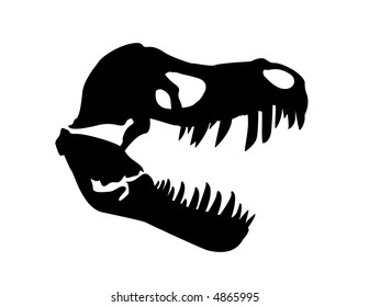 Tyrannosaurus rex skull fossil