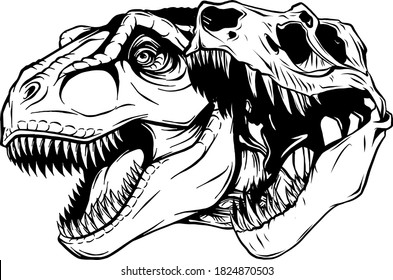 Tyrannosaurus Rex Skull Fossil Vector Illustration Design